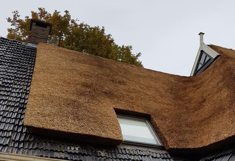 Rietdekker Groningen
